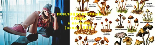 mix Абинск