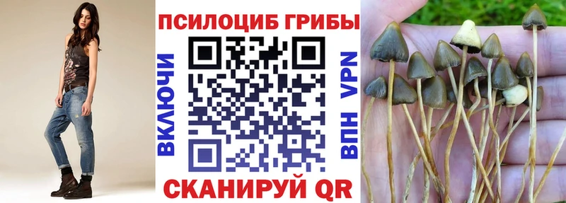 Галлюциногенные грибы GOLDEN TEACHER  Новокузнецк 